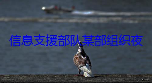 队某部组织夜间修理训练图信息支援部